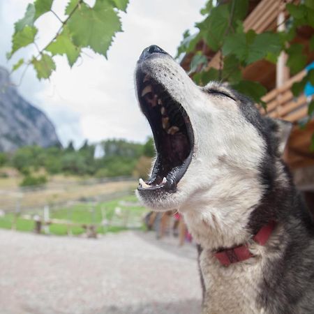 Agriturismo Athabaska 圣洛伦索巴纳尔 外观 照片